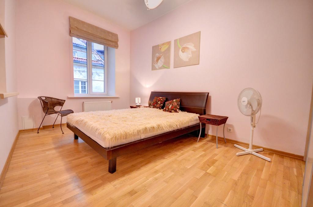 וילנה Great Apartment Near Town Hall מראה חיצוני תמונה