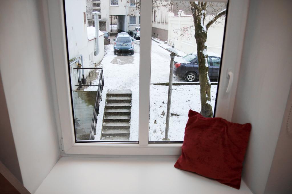 וילנה Great Apartment Near Town Hall מראה חיצוני תמונה